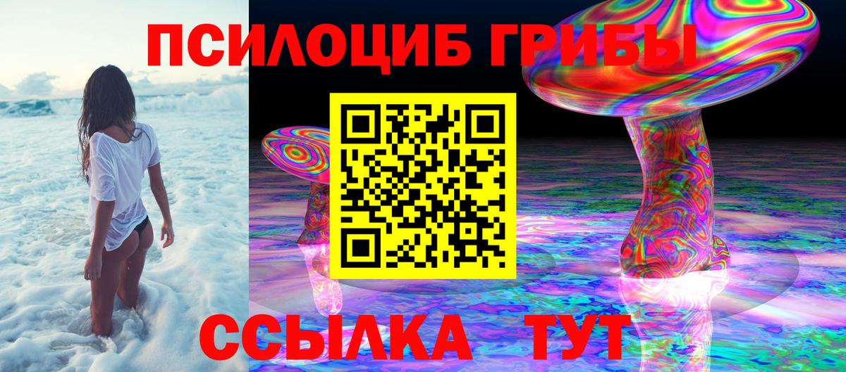 Галлюциногенные грибы мицелий  Вход с VPN  Волхов  Псилоцибиновые грибы Cubensis 