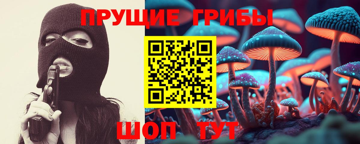 Псилоцибиновые грибы мухоморы Волхов