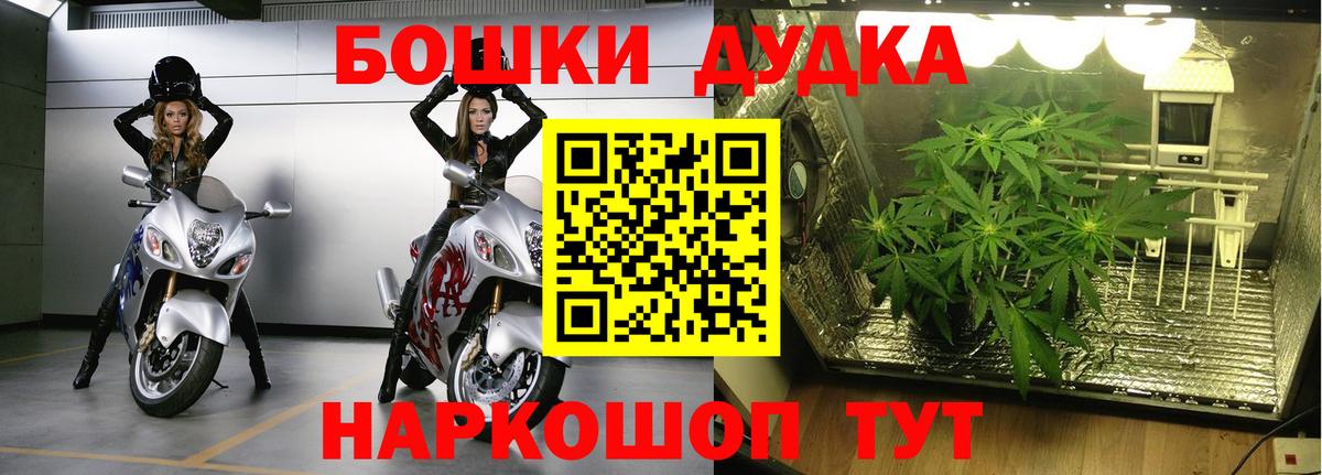 МАРИХУАНА тримм  Бошки марихуана тримм  Волхов  Вход с VPN  Бошки марихуана Bruce Banner 